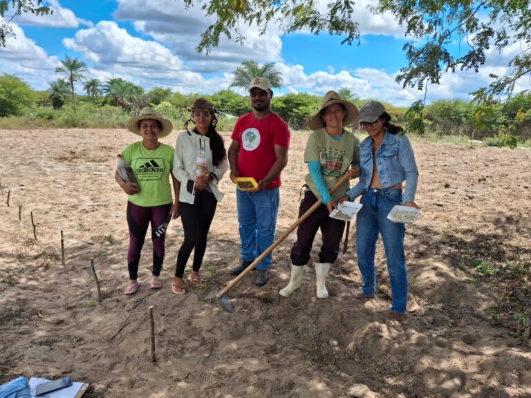 PROJETO RAÍZES AGROECOLÓGICAS COMPARTILHA EXPERIÊNCIAS DE MELHORAMENTO PARTICIPATIVO E SEMENTES CRIOULAS NO SERTÃO BAIANO